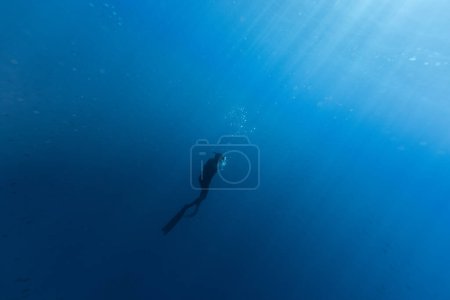 Foto de Freediver Natación en aguas profundas con rayos de sol. Joven bricolaje Eploring Sea Life. - Imagen libre de derechos