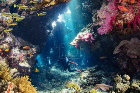 Foto de Cueva de Corales Tropicales Subacuáticos con Buceador. Marine Life Sea World. Paisaje marino submarino de colores tropicales. - Imagen libre de derechos