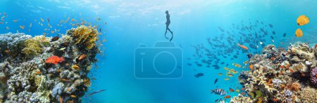 Téléchargez les photos : Coraux tropicaux sous-marins Récif avec poissons de mer colorés et freediver. Vie marine monde marin. Paysage marin panoramique sous-marin coloré tropical. - en image libre de droit