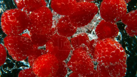 Photo for Freeze motion of falling fresh raspberries into water - Royalty Free Image