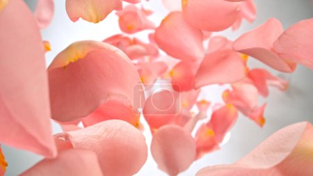 Photo for Freeze motion of flying rose petals on light gradient background - Royalty Free Image