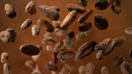 Téléchargez les photos : Des morceaux de fèves de cacao explosent. Vue du dessus. - en image libre de droit