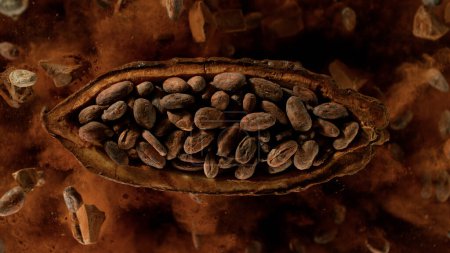 Photo for Cocoa fruit with cocoa beans exploding. Top view. - Royalty Free Image