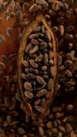 Téléchargez les photos : Fruit de cacao avec des fèves de cacao explosant. Vue du dessus. - en image libre de droit