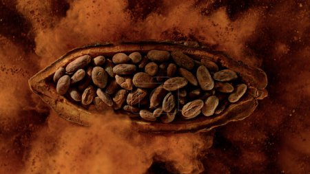 Téléchargez les photos : Fruit de cacao avec des fèves de cacao explosant. Vue du dessus. - en image libre de droit
