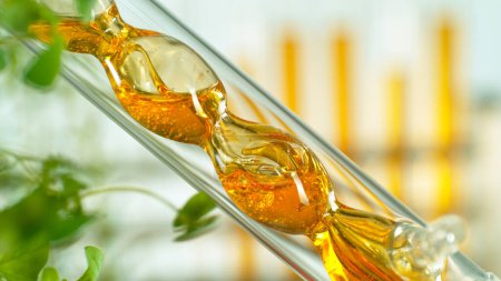 Téléchargez les photos : Obtenir de l'huile naturelle à partir de substances naturelles et fleurs. Flux d'huile jaune en spirale. - en image libre de droit