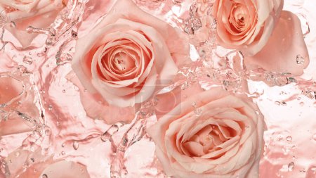 Téléchargez les photos : Gros plan sur les fleurs de roses tombant à la surface de l'eau, vue du haut vers le bas - en image libre de droit