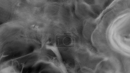 Photo for Abstract Atmospheric White Smoke Texture Background on Black - Royalty Free Image