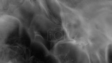 Téléchargez les photos : Résumé Atmospheric White Smoke Texture Background on Black - en image libre de droit