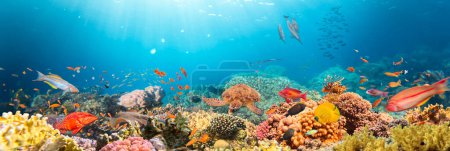 Foto de Arrecife de Corales Tropicales Submarinos con coloridos peces marinos. Mundo marino de vida marina. Paisaje marino tropical submarino colorido. - Imagen libre de derechos