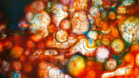 Téléchargez les photos : Geler le mouvement prise de vue de bulles d'huile de couleur en mouvement sur fond blanc - en image libre de droit