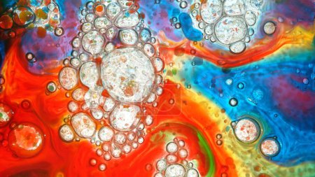 Téléchargez les photos : Geler le mouvement prise de vue de bulles d'huile de couleur en mouvement sur fond blanc - en image libre de droit
