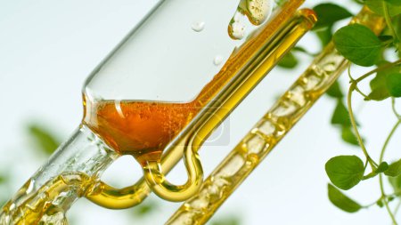 Téléchargez les photos : Obtenir de l'huile essentielle de substances naturelles et de fleurs. Flux d'huile jaune en spirale. - en image libre de droit