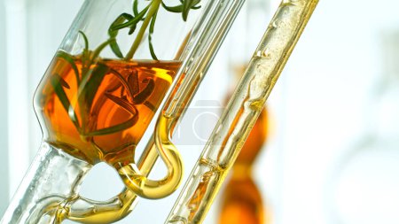 Ätherisches Öl aus natürlichen Substanzen und Blumen gewinnen. Gelbes Öl fließt in einer Spirale.