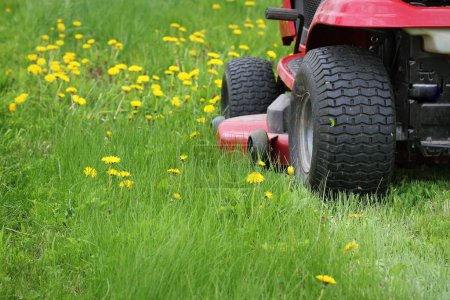 Gardening concept background. Gardener cutting the long grass on a tractor lawn mower .
