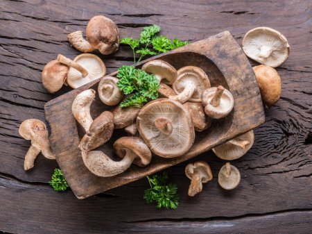 Téléchargez les photos : Shiitake champignons comestibles dans la plaque en bois sur une table en bois avec des herbes. Vue du dessus. - en image libre de droit