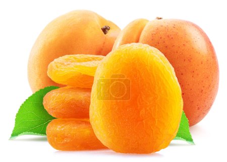 Téléchargez les photos : Délicieux abricots secs et abricots frais isolés sur fond blanc. Macro shot. - en image libre de droit