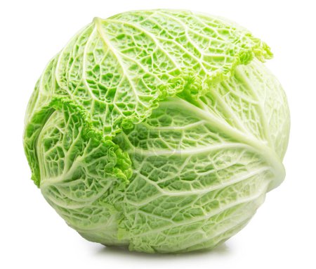 Photo for Fresh green savoy cabbage isolated on white background. File contains clipping path. - Royalty Free Image