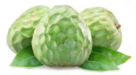 Photo for Custard apples isolated on white background. - Royalty Free Image