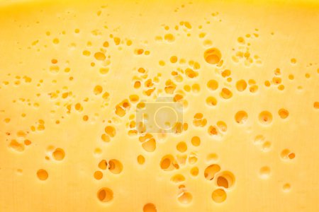 Structure of cheese with small holes close-up. Food background.