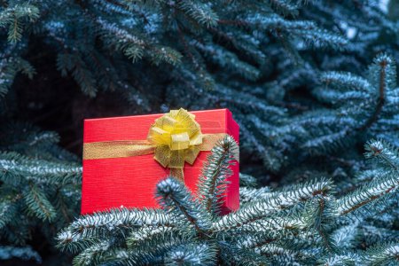 Foto de Caja-regalo roja en ramas de abeto en Nochebuena y Nochevieja. - Imagen libre de derechos