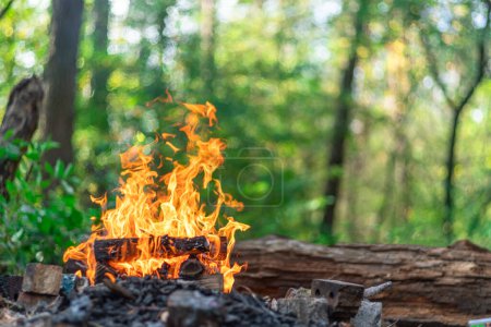 Téléchargez les photos : Feu de camp ou de camp. Flamme orange d'un feu de fond nature. - en image libre de droit