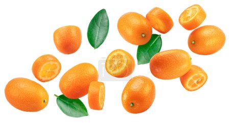 Téléchargez les photos : Fruits kumquat et coupes transversales de kumquat volant dans l'air sur fond blanc. Le fichier contient le chemin de coupe. - en image libre de droit