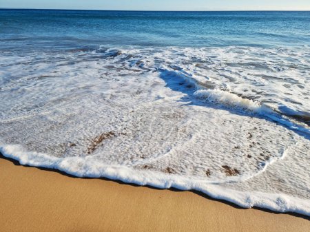 Téléchargez les photos : Mousse océanique couvrant belle plage de sable fin. Gros plan. - en image libre de droit