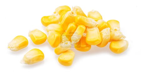 Photo for Maize seeds or corn seeds isolated on white background. - Royalty Free Image