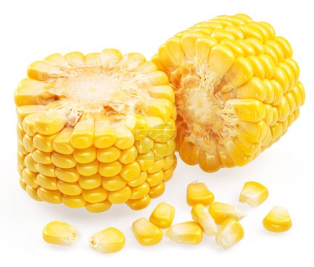 Foto de Piezas de mazorca de maíz o mazorca de maíz y semillas de maíz aisladas sobre fondo blanco. - Imagen libre de derechos