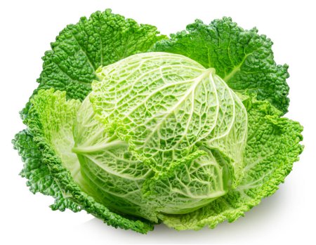Photo for Fresh green savoy cabbage isolated on white background. - Royalty Free Image