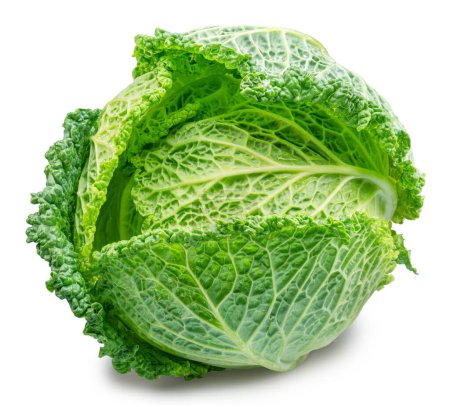 Photo for Fresh green savoy cabbage isolated on white background. File contains clipping path. - Royalty Free Image