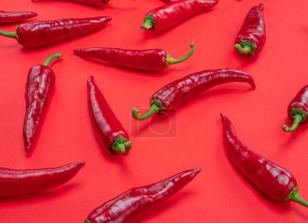 Foto de Red chilli peppers isolated on red background. - Imagen libre de derechos