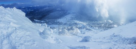 Téléchargez les photos : Paysage panoramique d'une forêt enneigée dans les montagnes par une journée d'hiver ensoleillée. Carpates ukrainiennes, près du mont Petros. - en image libre de droit