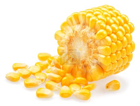 Photo for Piece of maize cob or corn cob and corn seeds isolated on white background. - Royalty Free Image