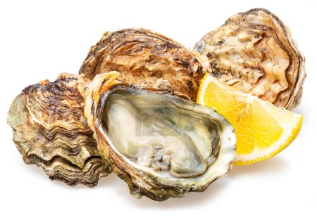 Photo for Opened and closed raw oysters isolated on white background. Delicacy food. - Royalty Free Image