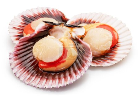 Foto de Group of fresh opened scallop with scallop roe or coral close up. File contains clipping path.. - Imagen libre de derechos