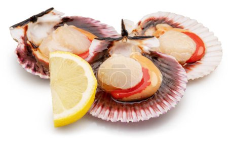 Foto de Group of fresh opened scallop with scallop roe or coral with lemon slice. File contains clipping path. - Imagen libre de derechos