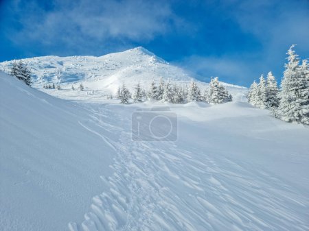 Foto de Hermoso paisaje de invierno soleado en las montañas. Montaña y abetos cubiertos de nieve. - Imagen libre de derechos