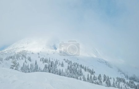 Téléchargez les photos : Beautiful sunny winter landscape in the mountains. Mountain and fir trees covered with snow. - en image libre de droit