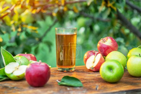 Foto de Jugo de manzana fresca y manzanas en la mesa de madera en el jardín del huerto de verano. - Imagen libre de derechos