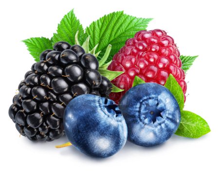 Foto de Blackberry, raspberry and blueberries with green leaves. Filet contains clipping path. - Imagen libre de derechos