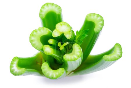 Photo for Fresh celery stalk isolated on white background. - Royalty Free Image