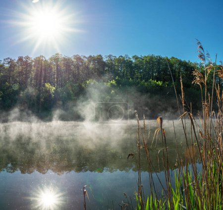 Photo for Beautiful river bank in the sun rays and morning fog in the summer morning. Amazing beauty of summer nature. - Royalty Free Image