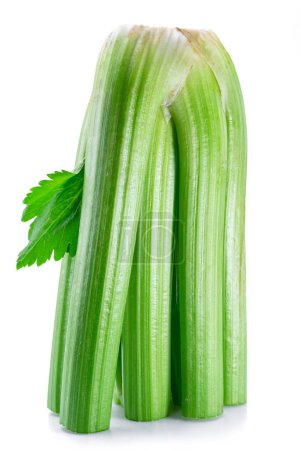 Photo for Fresh celery stalk isolated on white background. - Royalty Free Image
