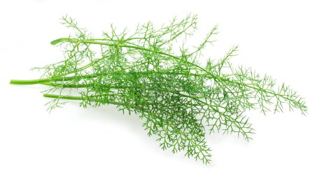 Photo for Green dill leaves isolated on white background. - Royalty Free Image