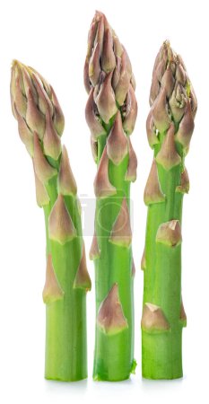 Photo for Three green asparagus spears isolated on white background. - Royalty Free Image