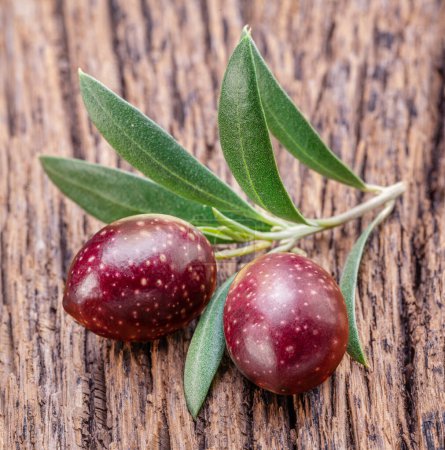 Photo for Two fresh olives on olive twig on old wooden background. - Royalty Free Image