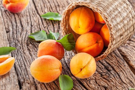 Photo for Ripe apricots on old wooden table. - Royalty Free Image