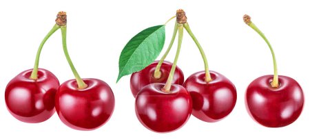Photo for Set of cherries and cherries with leaves on white background. Clipping path. - Royalty Free Image